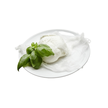 Mozzarella