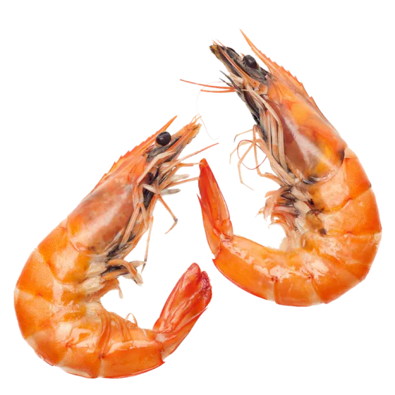 Frozen Shrimps