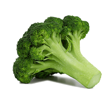 Broccoli