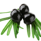 Black Olives