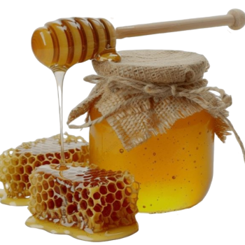 Lebanese Local Honey From The Mountains Of Lebanon (2000 meters above sea level)